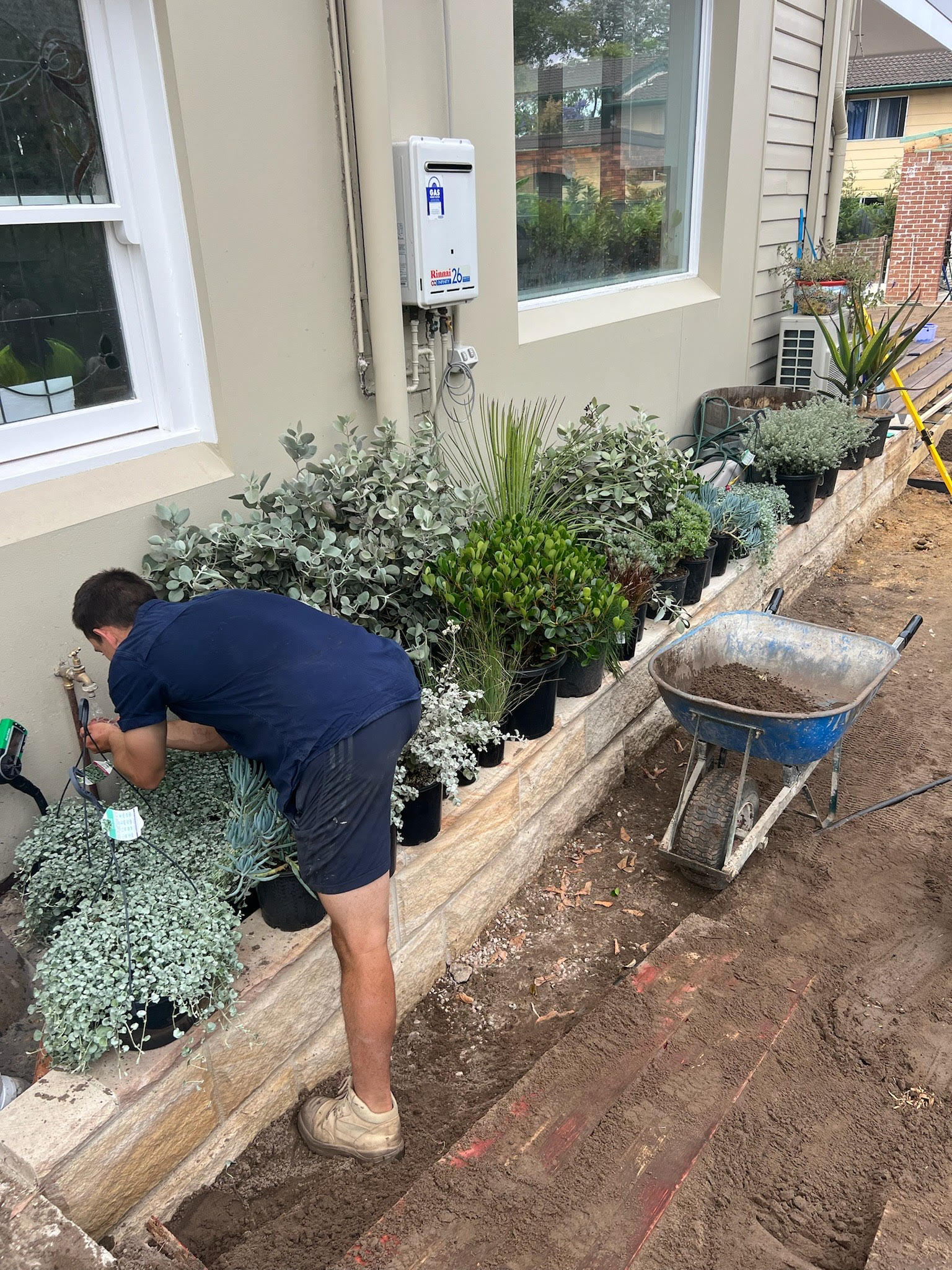 Landscaping